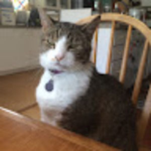 Meet your Posher, Ilana